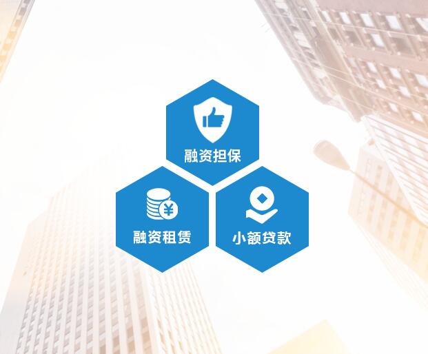 一家以融资租赁为主业的全国性投融资企业